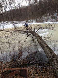 log_at_pinckney_small